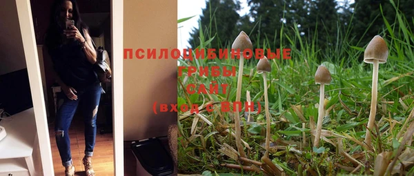 не бодяженный Кинешма