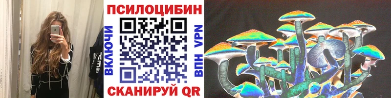 Купить  Новороссийск  Галлюциногенные грибы мицелий 